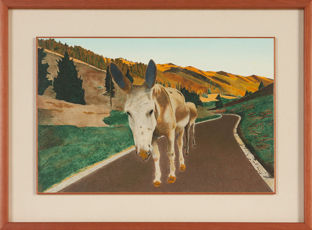 Asini sul Monte Grappa