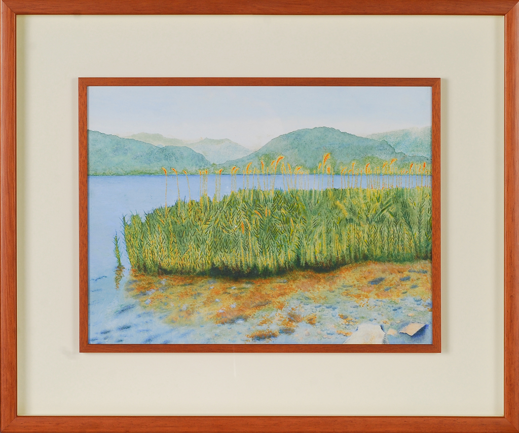 Il canneto del Lago d’ Orta