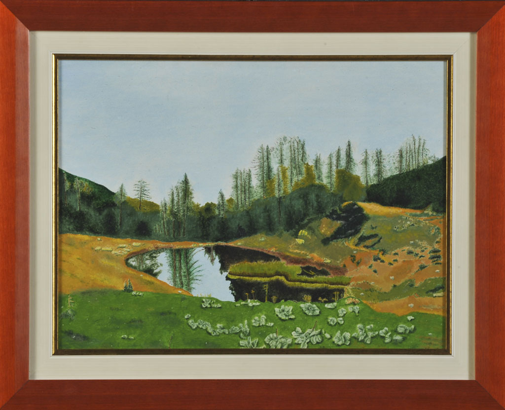 Laghetto della malga Preghena. (Tn)