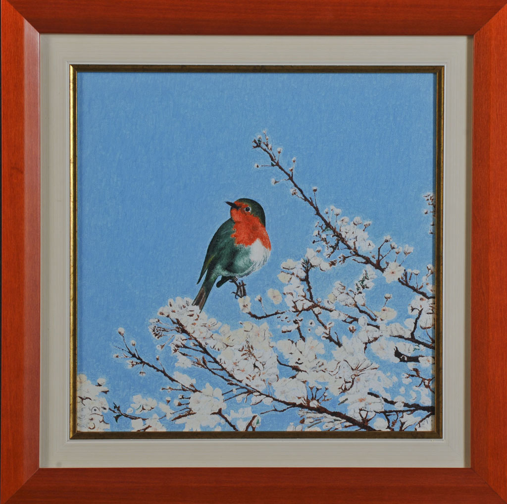 Pettirosso del giardino della Farmacia