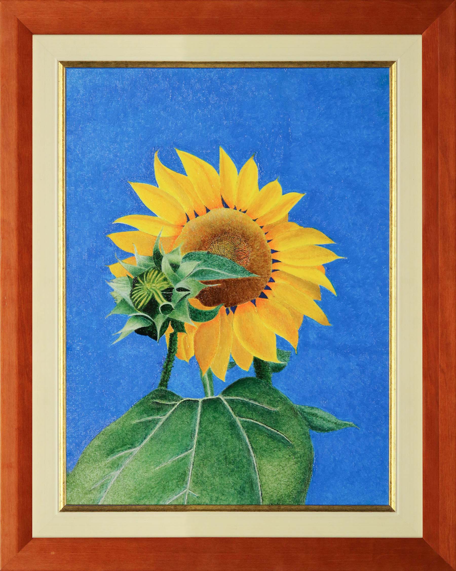 Il girasole ed il suo piccolo – (Fibonacci)