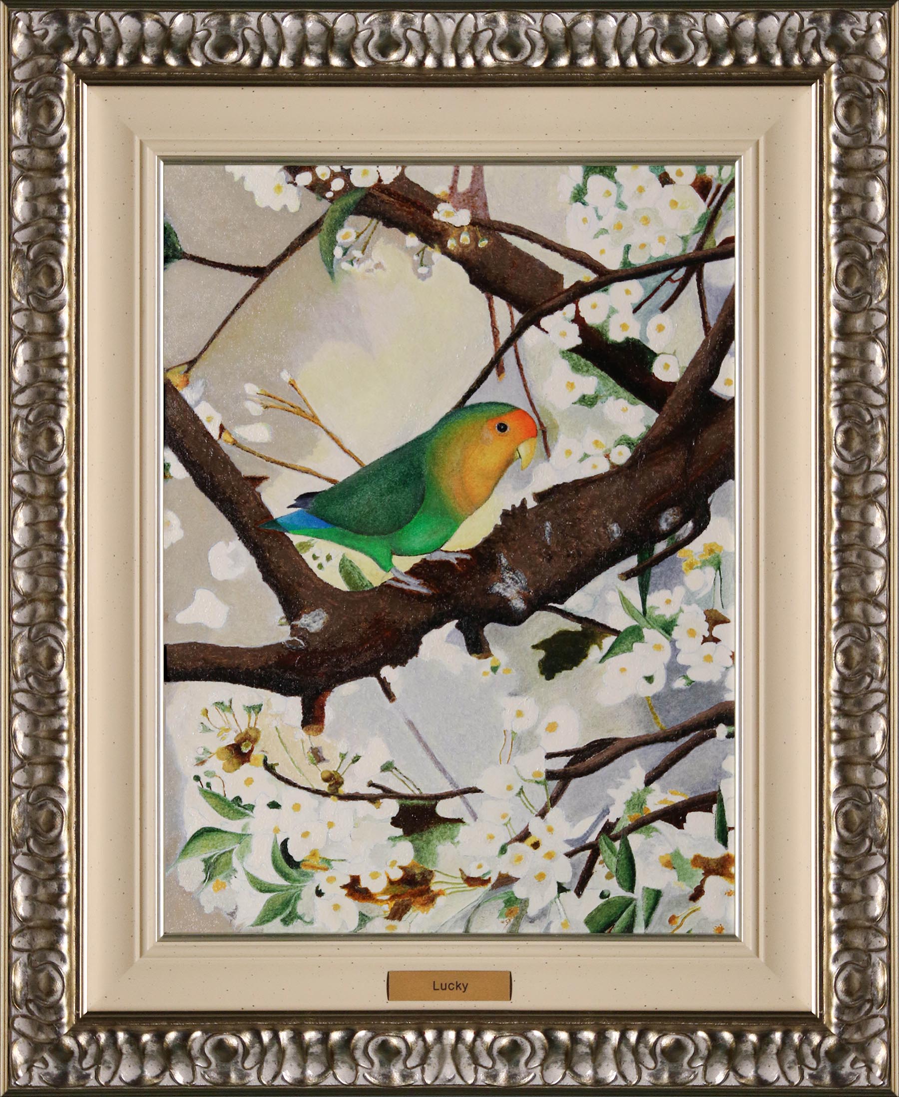 Lucky – La nostra cara, affettuosa, sfortunata Lucky