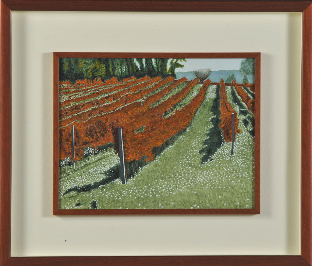 Siena. Le vigne che stanno per ingiallire